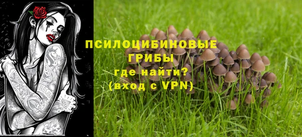 твердый Мегион