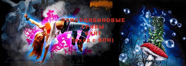 твердый Мегион