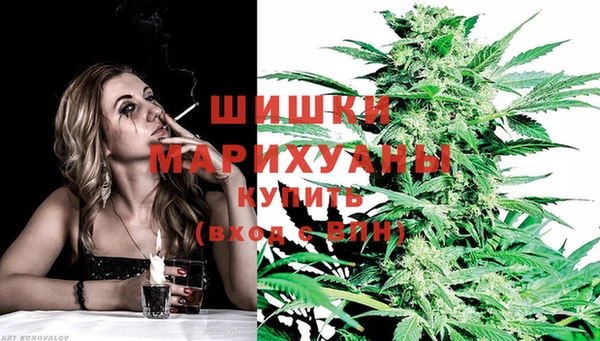 apvp Медвежьегорск