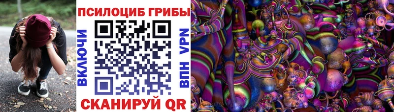Купить закладки  Правдинск  Галлюциногенные грибы GOLDEN TEACHER 
